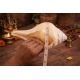 NOVELIKA-100% Natural Blowing Vamavarti Vishnu Shankh Original Big Calcium Conch Shell-Puja Purpose-Loud Sound (Pack of 1) NOVELIKA-100% Natural Blowing Vamavarti Vishnu Shankh Original Big Calcium Conch Shell-Puja Purpose-Loud Sound (Pack of 1)