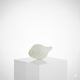 NOVELIKA- White Blowing Shank/Puja Shankh Or Conch Shell, 3.5/4 Inches (Pack of 1)