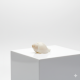 NOVELIKA- White Blowing Shank/Puja Shankh Or Conch Shell, 3.5/4 Inches (Pack of 1)