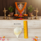 NOVELIKA- Sacred White Blowing Shank For Pooja -Divine Sound & Spiritual Purity (Pack of 1)