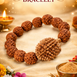 NOVELIKA - 2 Mukhi & 5 Mukhi Rudraksh Hand Bracelets For Men & Women (Pack of 2 )