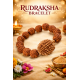 NOVELIKA - 2 Mukhi & 5 Mukhi Rudraksh Hand Bracelets For Men & Women (Pack of 2 )