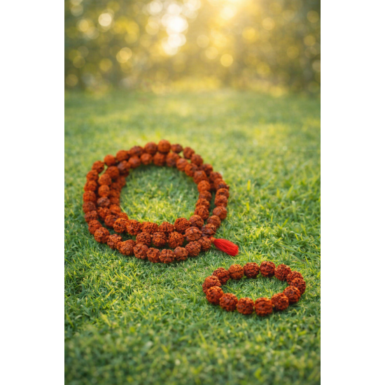 NOVELIKA -  Rudraksh Japa Mala 108+1 Beads With Rudraksh Bracelet  For Daily Mantra Jaap Less Combo Pack