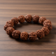 NOVELIKA -  Rudraksh Japa Mala 108+1 Beads With Rudraksh Bracelet  For Daily Mantra Jaap Less Combo Pack