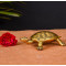NOVELIKA-  Brass Tortoise Figurine(NA705)