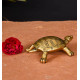 NOVELIKA-  Brass Tortoise Figurine(NA705)