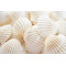 Novelika White Ark Decorative Artificial Seashell
