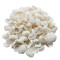 Novelika White Seashells for Aquarium, Fish Tank, Vase Filler