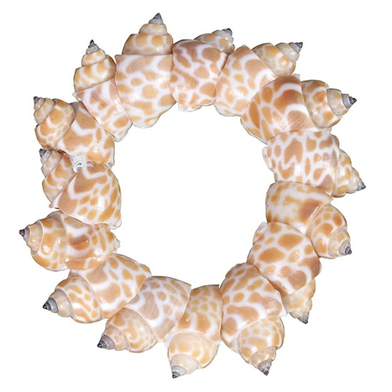 Novelika Handmade Seashell Bracelet for Women