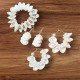 Novelika Handmade white Seashell Bracelet with beads, White Shell Ear rings for Women