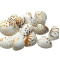 Novelika Brown Dot Seashells for Aquarium, Fish Tank, Vase Filler