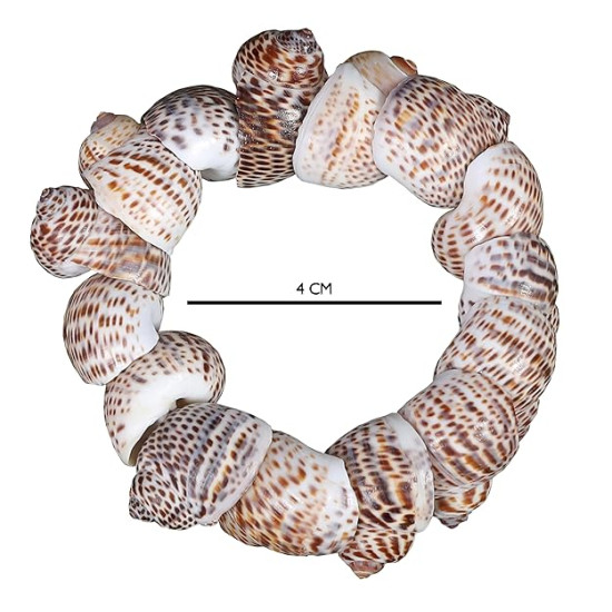 Novelika Handmade Seashell Bracelet for Women