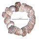 Novelika Handmade Seashell Bracelet for Women