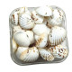 Novelika Brown Dot Seashells for Aquarium, Fish Tank, Vase Filler