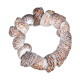 Novelika Handmade Seashell Bracelet for Women