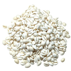 Novelika Natural White kaudi Novelika Natural White kaudi
