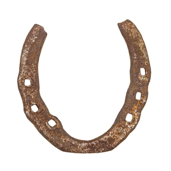 Novelika Black Horse Ki Naal -  For Good Luck -Pack Of 1