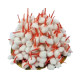 Novelika Cotton Round Wicks - Phool Batti - Cotton Batti - Rui Gol Batti For Puja Aarti - Pack Of 100 Wicks Novelika Cotton Round Wicks - Phool Batti - Cotton Batti - Rui Gol Batti For Puja Aarti - Pack Of 100 Wicks