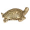 NOVELIKA-Big Brass Tortoise for Good Luck Showpiece (Pack of 1)