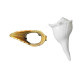 NOVELIKA- Dakshinavarti Shankh Original Pure White with Designer Brass Stand (Set of 1) NOVELIKA- Dakshinavarti Shankh Original Pure White with Designer Brass Stand (Set of 1)