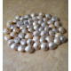 NOVELIKA Mini Artificial Small Umbonium shells Sea Shells for Home Decorations 200Grams.