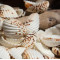 NOVELIKA- Natural Dotted white artificial Sippy Sea Shell for Crafts (30PCS)