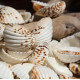 NOVELIKA- Natural Dotted white artificial Sippy Sea Shell for Crafts (30PCS) NOVELIKA- Natural Dotted white artificial Sippy Sea Shell for Crafts (30PCS)