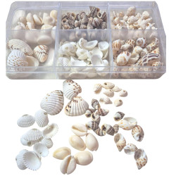 NOVELOKA- Multiple Styles Sea Stones & Shells For Art & Craft - 400gm (Pack of 6)