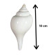 NOVELIKA-White Premium Quality Jal Shank For Puja | Conch Shells (Pack of 1) NOVELIKA-White Premium Quality Jal Shank For Puja | Conch Shells (Pack of 1)