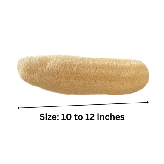 NOVELIKA- Natural Organic Loofah, Body Scrubber/Bathing Sponge For Unisex, (Pack Of 4)
