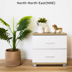 NOVELIKA- Brass Lion Statue Vastu Idol for Home and Office  (Set of 1 )