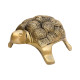 NOVELIKA- Brass Turtle Statue decorative showpiece with Vastu (Set of 1)