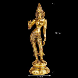 NOVELIKA-Devi Uma Parvati Maa Standing Murti Idol for Home Pooja Temple (Pack of 1) NOVELIKA-Devi Uma Parvati Maa Standing Murti Idol for Home Pooja Temple (Pack of 1)