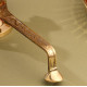 Novelika - Brass Traditional Panch Aarti Diya (Lamp) with a Handle(NA587)