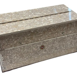 Novelika Professional Harmonium BINA SPL “NANAKSAR/RARA SAHIB” MODEL