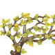 Novelika Solid Brass Wall Hanging Tree of Life Kalpavriksha Traditional Decorative Decor Sucess Vastu Fengshui Showpieces for Home Office Gift Novelika Solid Brass Wall Hanging Tree of Life Kalpavriksha Traditional Decorative Decor Sucess Vastu Fengshui Showpieces for Home Office Gift