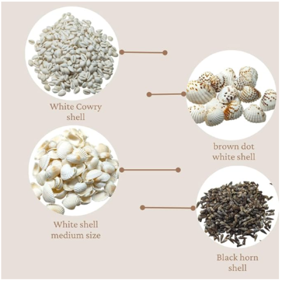 Novelika 7 Different type of Sea Shells Mixed collection for Aquarium, Fish Tank, Vase Filler, Art, jewellary making, Gift item – 400 grams