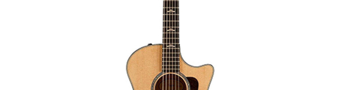 Guitars & Bass Guitars & Bass