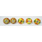 Ceramic  Knobs - Yellow & Green Two Flower Design Set - Decorative Kitchen and Dresser Handles - Set Of 5