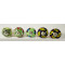 NOVELIKA- Jaipuri Arts Ceramic knobs. For  Kitchen Cupboard ,Furniture Home Décor,  Cabinet - Drawer - Cabinet pulls - Door knobs. (Set Of 5.)
