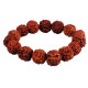 NOVELIKA - Rudraksh Japa Mala 108+1 Beads With Rudraksh Bracelet For Daily Mantra Jaap Less Combo Pack NOVELIKA - Rudraksh Japa Mala 108+1 Beads With Rudraksh Bracelet For Daily Mantra Jaap Less Combo Pack