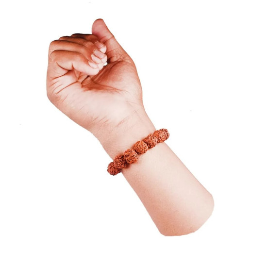 NOVELIKA - Rudraksh Japa Mala 108+1 Beads With Rudraksh Bracelet For Daily Mantra Jaap Less Combo Pack NOVELIKA - Rudraksh Japa Mala 108+1 Beads With Rudraksh Bracelet For Daily Mantra Jaap Less Combo Pack