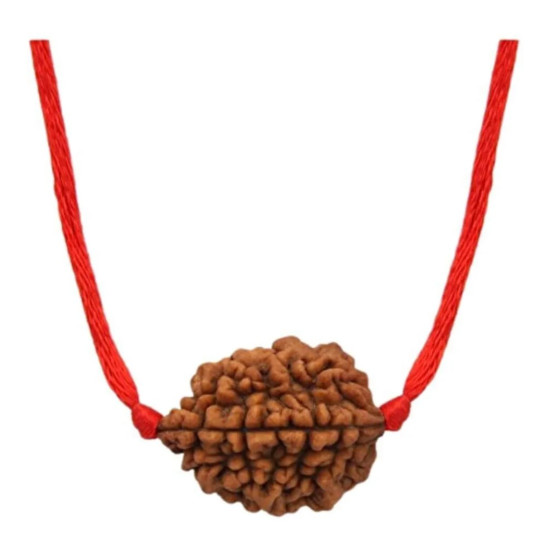 NOVELIKA - Natural 2 Mukhi ,Rudraksha (Brown) /2 Face Rudraksha Bead (Pendant) NOVELIKA - Natural 2 Mukhi ,Rudraksha (Brown) /2 Face Rudraksha Bead (Pendant)