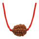 NOVELIKA - Natural 2 Mukhi ,Rudraksha (Brown) /2 Face Rudraksha Bead (Pendant) NOVELIKA - Natural 2 Mukhi ,Rudraksha (Brown) /2 Face Rudraksha Bead (Pendant)