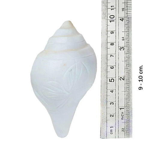 NOVELIKA - Authentic Jal Shank (Pani Shank) With Brass Stand | Sacred 9-10 CM Conch For Pooja & Abhishekam Divine Ritual Accessory Less NOVELIKA - Authentic Jal Shank (Pani Shank) With Brass Stand | Sacred 9-10 CM Conch For Pooja & Abhishekam Divine Ritual Accessory Less