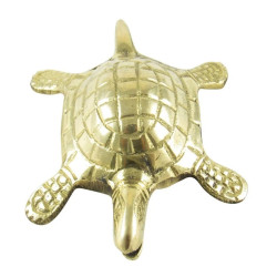 NOVELIKA -  Brass Turtle For Vastu Feng Shui Tortoise, Good Luck | Best Wishes Gift (Pack Of 1) 