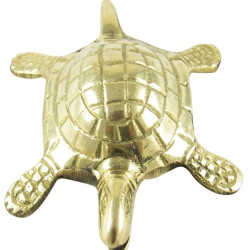 NOVELIKA -  Brass Turtle For Vastu Feng Shui Tortoise, Good Luck | Best Wishes Gift (Pack Of 1) 