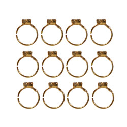 Novelika Clip on Pressing type without Piercing Nose ring pin Stud for Women & Girls Set of 12 Piece - NR13003