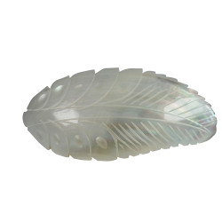 Premium Quality Snakh Hairclip Natural Mother Of Pearl Hair clip - CL1404