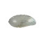 Premium Quality Snakh Hairclip Natural Mother Of Pearl Hair clip - CL1404